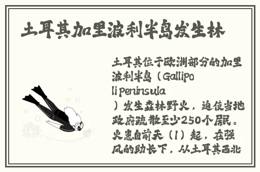 妖艳女忍者